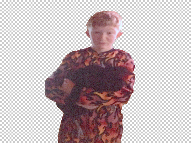 what-tv-shows-are-chicken-friendly-2