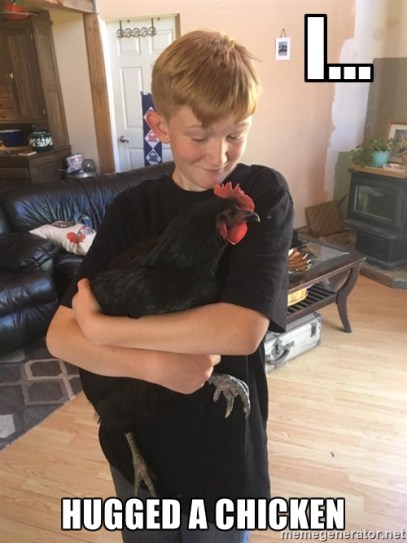 I... Hugged a Chicken.jpg